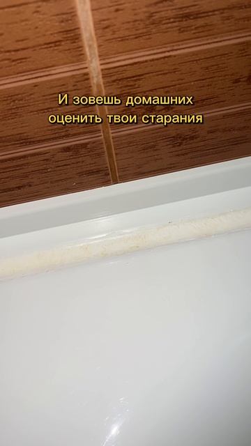 WB: 391773767