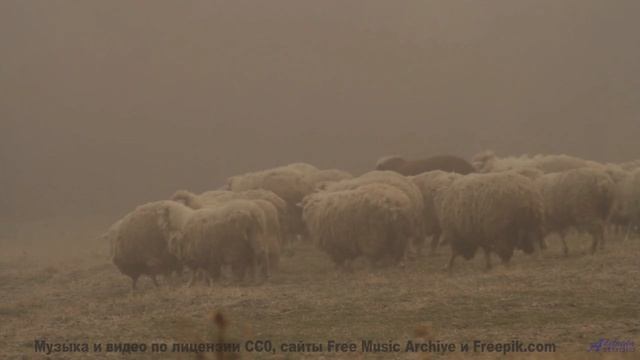 Музыка раскрывает горизонты быстрее любого самолёта - Sleeping is Sadness -- SUPERARE -- II