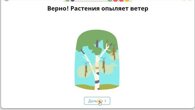 5  Растения