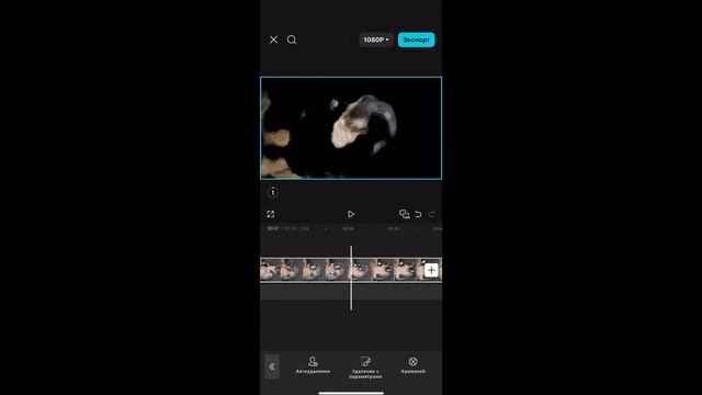Как удалить фон в CapCut? Легко!