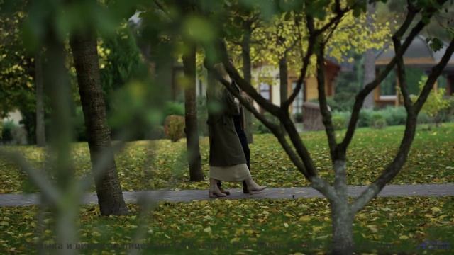 Ощущение полёта длится столько, сколько звучит трек - Without You -- Forget the Whale -- Take to the