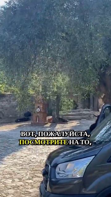Почему каждый мой путь начинается с молитвы за архимандрита Евфимия?