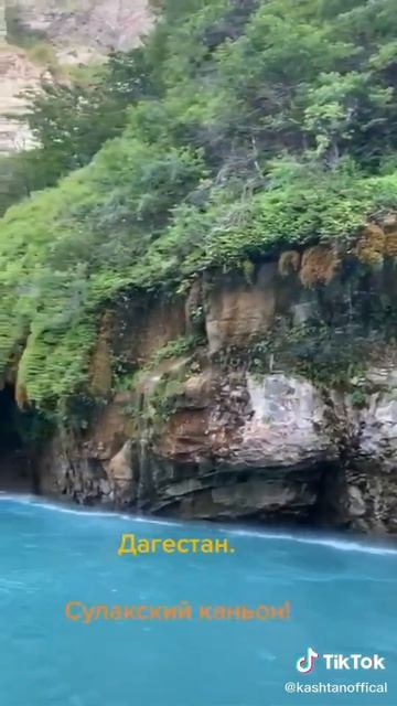 58668869-aba5-45f6-8276-681cb3c9769b-1_all_1491.mp4