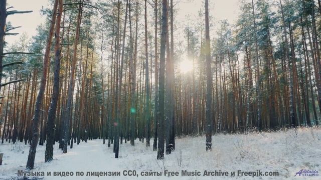 Запретная красота - то, что вам не должны видеть! - Puppy Love -- HoliznaCC0 -- Lo-fi And Chill