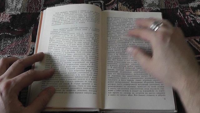 "Удивительное поведение животных" (Николай Йовчев, Константин Старчев, 1978)