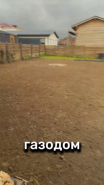 стелим газон