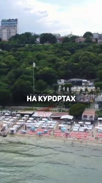 Наташа Муника развела всех плебеев по классике команды зелебанчика