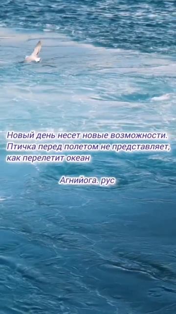 #агнийога #живая_этика