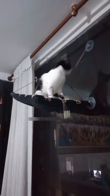 Наглядный пример поговорки не пили сук на котором сидишь 😁