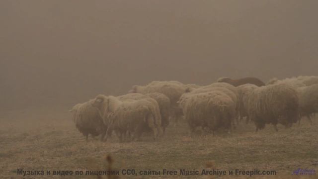 Леса шепчут мелодии прямо в сердце - Craving Ending -- Soft and Furious -- Fluid