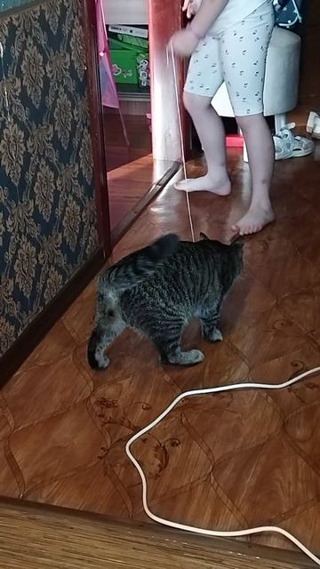 Бусик