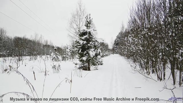 Он настолько прекрасен, что хочется плакать от счастья! - Who Let The Dogs Out -- Derek Clegg -- Sto