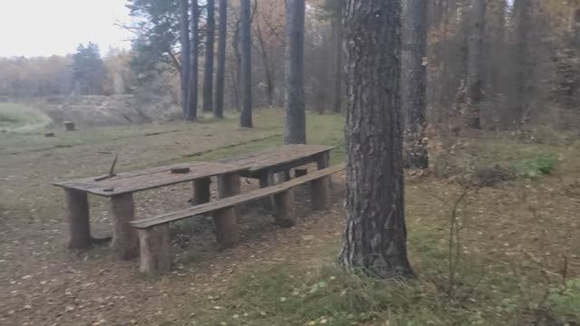 Река Жиздра 2 (05.10.2022)