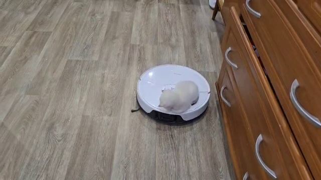 1000000121.mp4