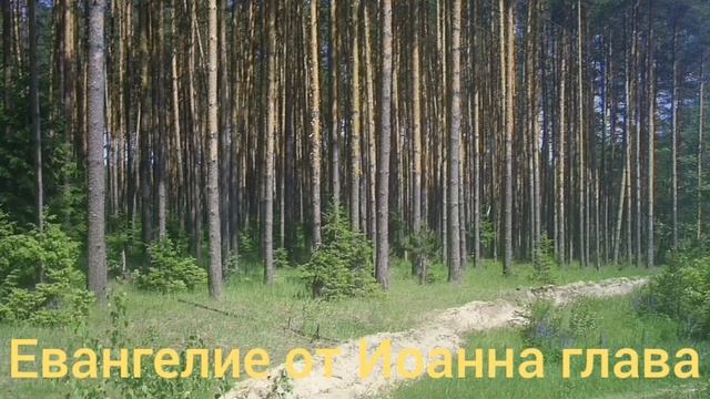 Библия Евангелие от Иоанна глава 2