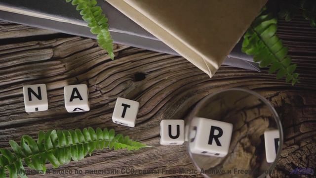 Эти пейзажи заряжают, а музыка - взрывает! - Camelot -- Eyelids -- Live at Monty Hall, 11152017