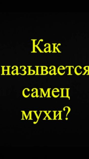 Мозгоправ самоубился. Книга первая. Вопрос 60