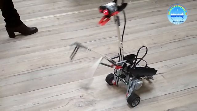 Уникальные услуги "STEM+"