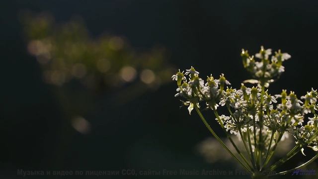 Пейзажи и ритмы вместе дарят личный восторг - I Hear Echoes -- Ketsa -- Light Rising