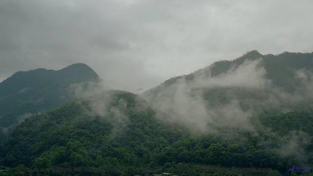Мелодия открывает новые горизонты прямо на экране - thief of botanic knowledge -- los pilotos -- nur