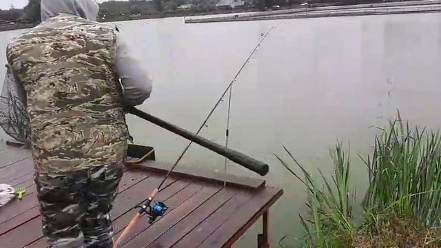 WhatsApp Video 2025-06-14 at 07.13.44