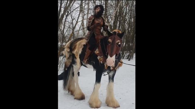 War Horse 2