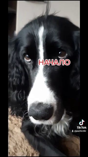 1000023405.mp4