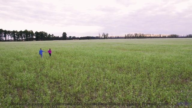 Поля наполняются жизнью вместе с этим саундом - Adventure -- Chad Crouch -- Motion
