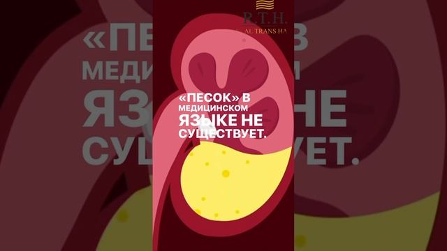 Откуда камни а почках?