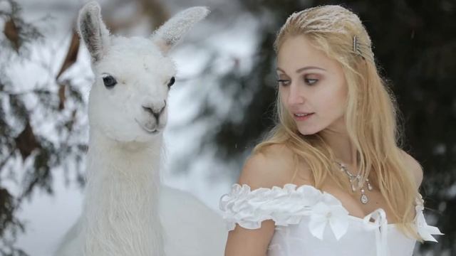 Frost & Lama