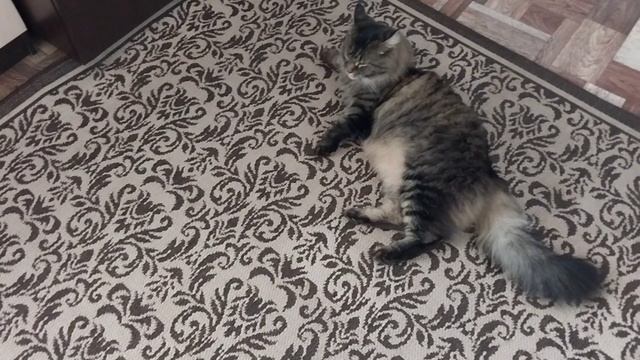 Не отпускаю гулять😂