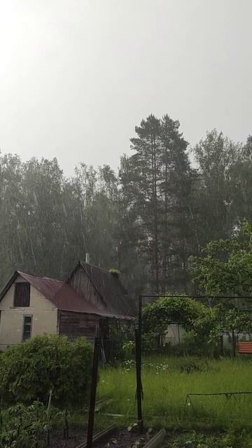 Летний дождь