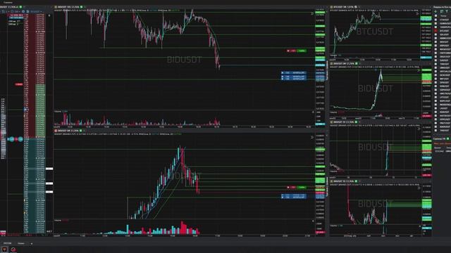46-Bidusdt-Short-Profit-09-06-2025-16-09-34