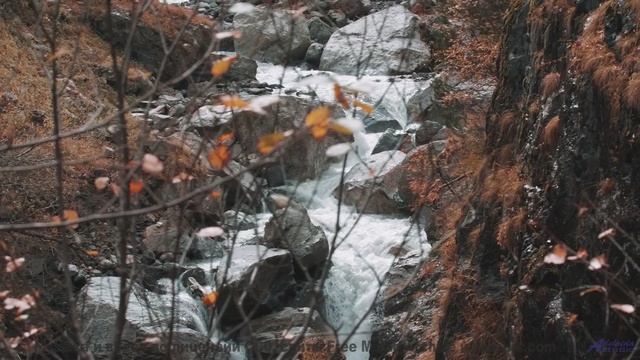 Музыка, которая звучит так, будто ее создала сама природа! - Bursting -- Ketsa -- The New World
