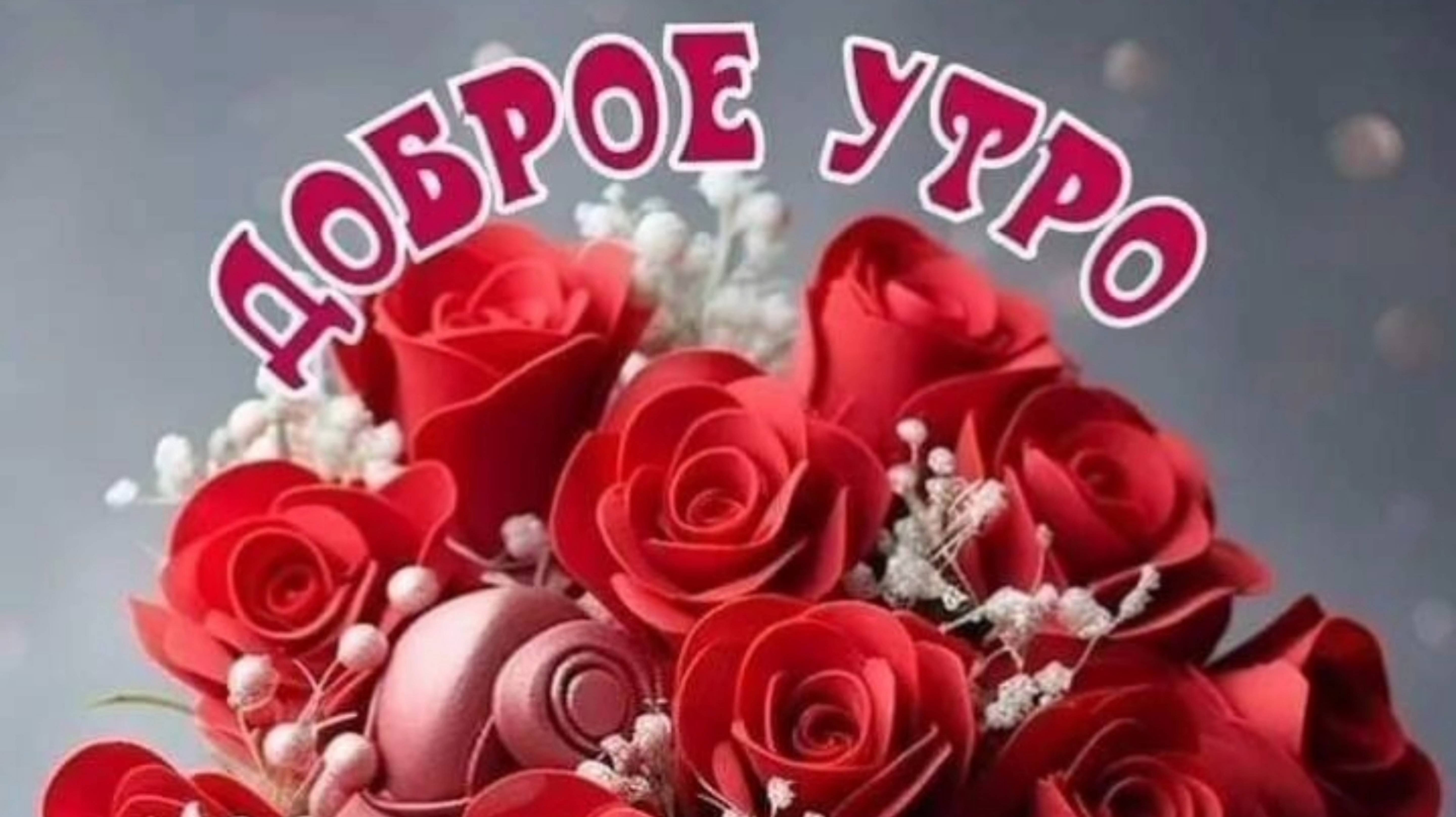 СЕГОДНЯ БУДЕТ ЧУДЕСНЫЙ ДЕНЬ! ПРОСНИСЬ И СИЯЙ!