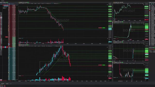 48-Bidusdt-Short-Profit-09-06-2025-16-17-04