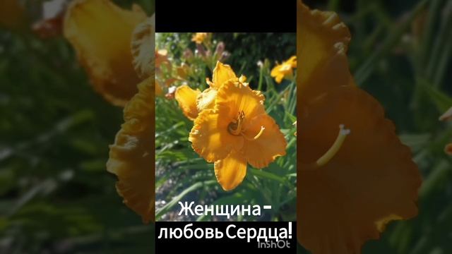 С 8 марта, дорогие женщины!!!