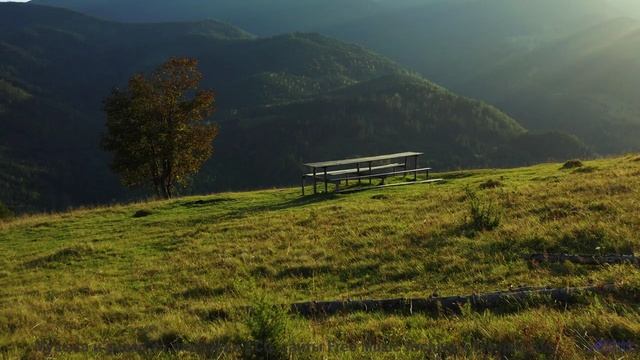 Каждая долина под такую мелодию становится личным раем - Dim Dim -- Podington Bear -- Homage Fromage