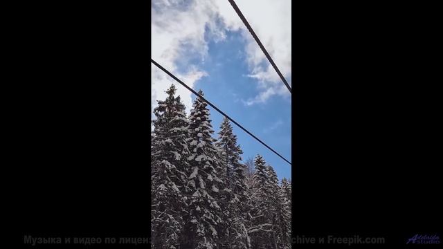 Поля и мелодия проникают под кожу мгновенно - El Nino -- HoliznaCC0 -- THE NOISE - Barely Fauna