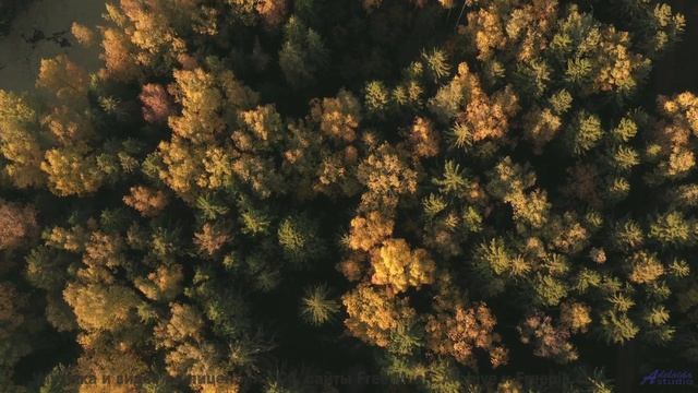 Включите и почувствуйте, как время останавливается! - По местам -- Фиорд -- Невзялазь