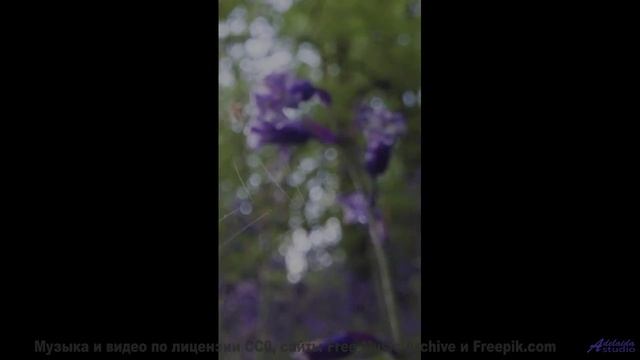Видео, которое можно понять только с расширенным сознанием - испытайте! - A Little Crazy -- Nicole A