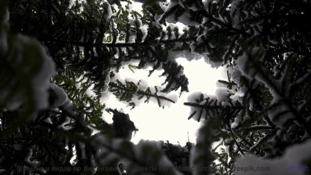 Танцуйте под этот трек - он создан для влюблённых! - Ceramic War -- Taylor Poe -- 10 Million Babies
