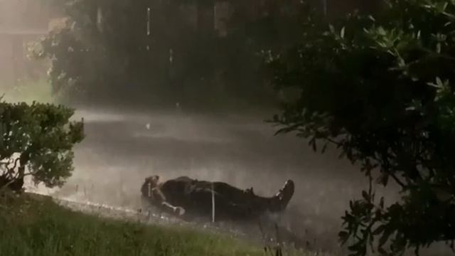 Заменитель - Hold Me Closer (lost in the rain)