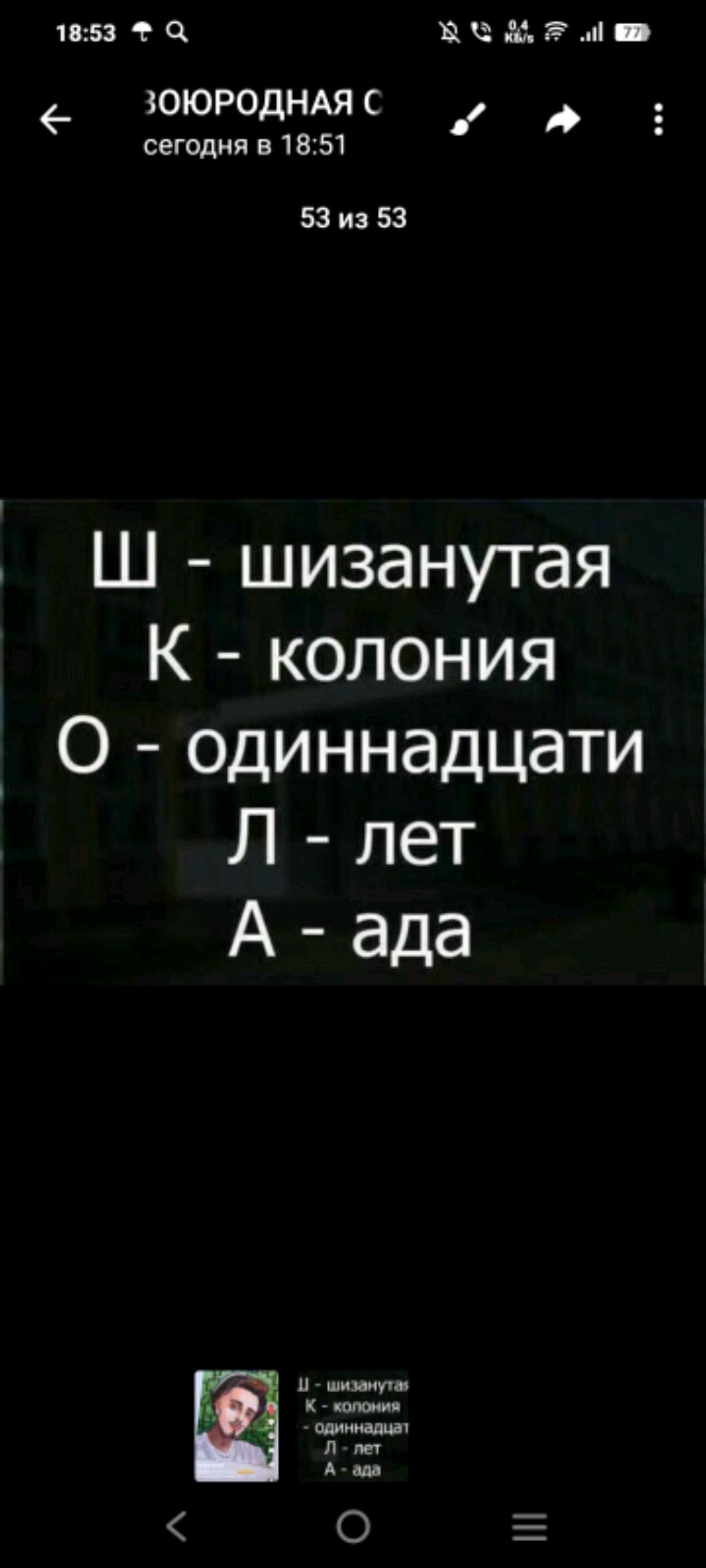 Смехота по всюду