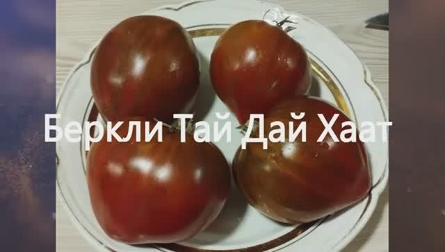 Эти томаты отлично подходят для консервирования. г. Киров
