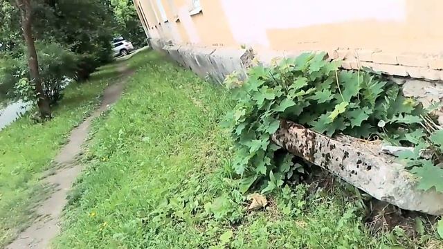 Васюки