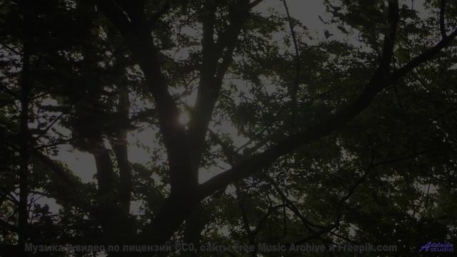 Пейзажи открывают сердце вместе с этим треком - We may be remembered by what we did when we sat down