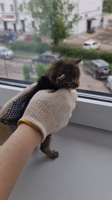 Кто там?