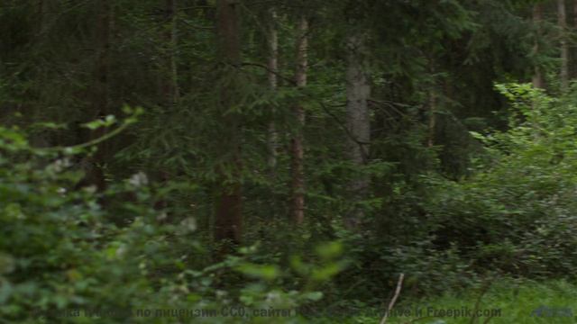 Природа, увиденная через призму тёмной энергии - технологии раскрывают тайны! - Detestable Things --
