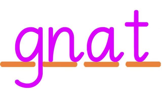 Silent g - Phonics - sign, gnome, gnat